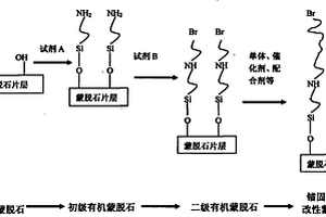 錨固插層改性蒙脫石的制備方法及其在聚合物基納米復(fù)合材料中的應(yīng)用