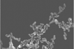 核殼型金-氧化釕納米復(fù)合材料及其制備方法