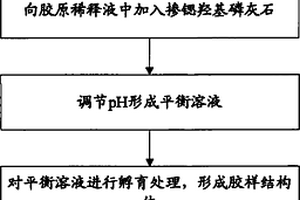 摻鍶羥基磷灰石膠原復(fù)合材料及其應(yīng)用和制備方法