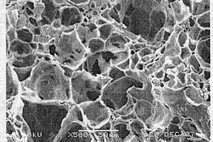 生物形貌碳化硅與分子篩復(fù)合材料的制備方法