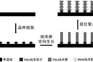 基于三元層級組裝的硅-二氧化鈦-聚苯胺復(fù)合材料及應(yīng)用