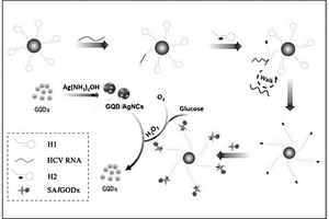 銀納米簇基復(fù)合材料的制備方法以及基于該復(fù)合材料的核酸檢測(cè)方法