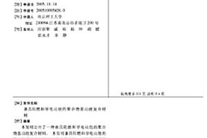 兼具阻燃和導電功能的聚合物基功能復合材料