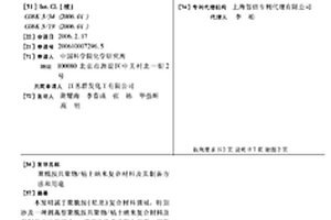 聚酰胺共聚物/粘土納米復(fù)合材料及其制備方法和用途