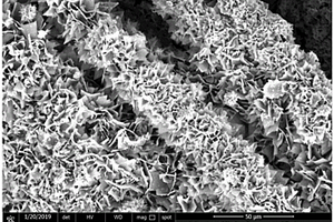 3R-MoS<sub>2</sub>/碳布復(fù)合材料的制備方法及其應(yīng)用