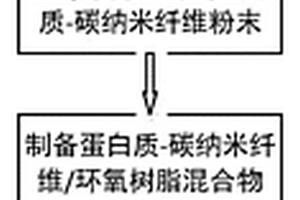 蛋白質(zhì)-碳納米纖維/環(huán)氧樹脂復(fù)合材料及其制備方法