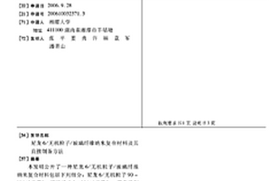 尼龍6/無機粒子/玻璃纖維納米復合材料及其直接制備方法