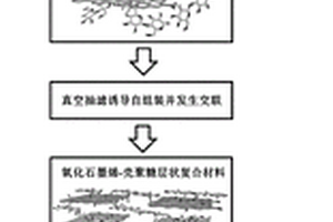 仿生層狀強韌一體化導(dǎo)電石墨烯復(fù)合材料的制備方法