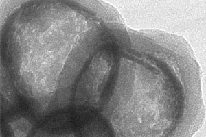 多功能空心介孔SiO<sub>2</sub>納米復合材料的制備方法