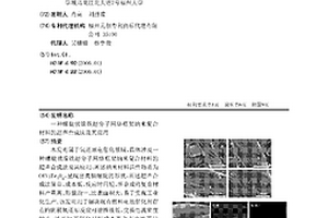 螺旋狀鎳鐵超分子網(wǎng)絡(luò)框架納米復(fù)合材料的超聲合成法及其應(yīng)用