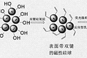 磁性熒光復(fù)合材料及制備方法與應(yīng)用