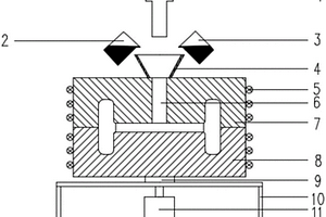 制備多功能金屬基復(fù)合材料鑄件的裝置及方法