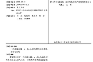 過渡金屬-γ-Fe2O3納米材料及其制備方法與應(yīng)用