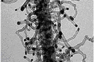 氮摻雜碳納米管@碳納米纖維復(fù)合材料的制備及其應(yīng)用