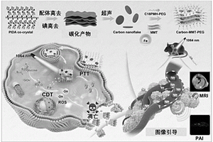 基于二維納米碳片的復合材料及其制備與應用