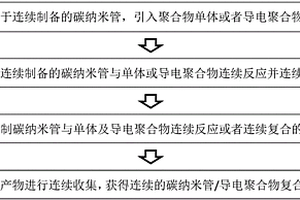 碳納米管/導(dǎo)電聚合物復(fù)合材料的制備方法及裝置