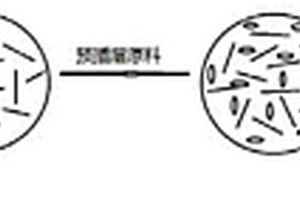 聚醚醚酮/石墨納米復(fù)合材料、其制備方法及其應(yīng)用