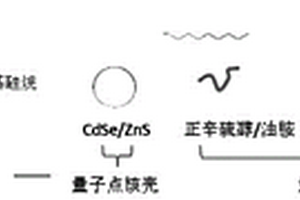 量子點(diǎn)復(fù)合材料及其制備方法、量子點(diǎn)發(fā)光器件