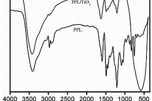聚苯酚/二氧化鈦復(fù)合材料及制備方法和應(yīng)用