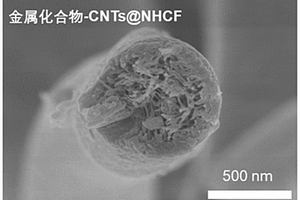 鋰硫電池正極用碳纖維復(fù)合材料及其制備方法和應(yīng)用