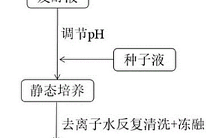 原位礦化制備無(wú)定型二氧化硅/細(xì)菌纖維素復(fù)合材料的方法