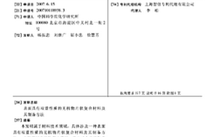 表面具有雙重性質(zhì)的無機物片狀復合材料及其制備方法