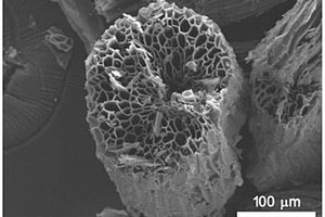源于絲瓜絡(luò)的多孔碳及其復(fù)合材料的制備方法與應(yīng)用