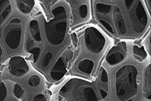 多孔鎳基析氫電極復(fù)合材料