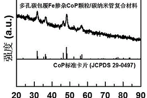 多孔碳包覆Fe摻雜CoP顆粒/碳納米管析氧電催化復合材料及其制備方法和應用