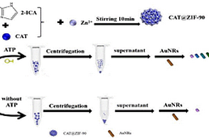 基于ZIF-90負(fù)載過氧化氫酶復(fù)合材料比色檢測ATP的方法