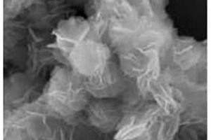 MoS<Sub>2</Sub>/S-NiCoCr-LDH復(fù)合材料的制備方法