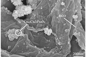 RGO/Co<Sub>x</Sub>Cu<Sub>1-x</Sub>Fe<Sub>2</Sub>O<Sub>4</Sub>復(fù)合材料及其制備方法和應(yīng)用