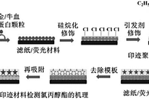 識(shí)別氯丙醇酯的紙基熒光印跡復(fù)合材料及其制備方法