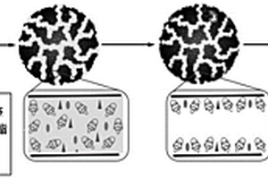 毫米級大孔-介孔碳球/杯[4]-雙冠-6互穿復(fù)合材料及其制備方法和應(yīng)用