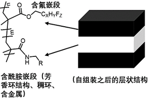 最高分辨率為5nm含酰胺基團(tuán)含氟嵌段的納米復(fù)合材料的制備及在DSA光刻領(lǐng)域的應(yīng)用