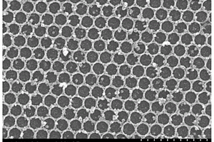 SnO2/MoS2二維大孔復(fù)合材料薄膜、制備方法及其應(yīng)用