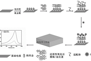 基于RGO-Hemin/Au NPs納米復(fù)合材料檢測(cè)GPC3的方法