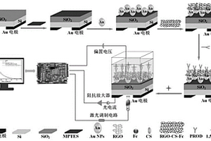 基于復(fù)合材料改性LAPS芯片檢測(cè)1,5-脫水葡萄糖醇的方法