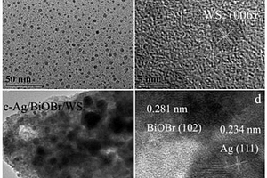 硫化鎢量子點(diǎn)和貴金屬納米粒子共同修飾的溴氧鉍復(fù)合材料的制備方法及應(yīng)用