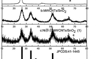 以磁性金屬摻雜多壁碳納米管/二氧化錫的納米復合材料
