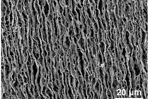 垂直取向多層碳基MoS<sub>2</sub>氣凝膠復(fù)合材料及其制備方法與應(yīng)用