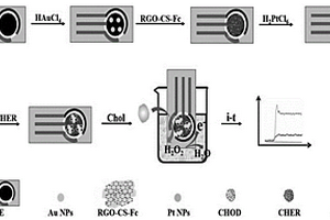 基于RGO-CS-Fc/Pt NPs納米復(fù)合材料檢測膽固醇的方法