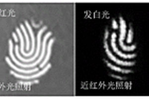 防偽氟化物納米顆粒復(fù)合材料及其制備方法