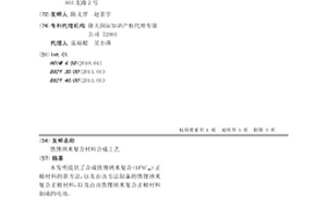 鐵鋰納米復合材料合成工藝