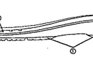 能量回歸運(yùn)動鞋