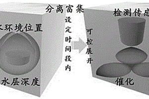 兼具分離富集、檢測、催化功能的一體化智能結(jié)構(gòu)體系及其制備方法