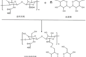 改性透明質(zhì)酸復(fù)合美容整形材料的制備方法