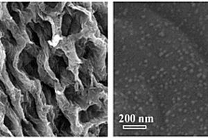 具有孔網(wǎng)結(jié)構(gòu)的磷化鉬納米粒子摻雜的生物質(zhì)碳材料的制備方法