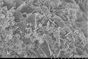 自組裝氮化碳-TiO<sub>2</sub>/中空結(jié)構(gòu)生物質(zhì)炭降解氨氮復合材料及其制備方法