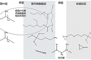 硅凝膠/聚丙烯酸酯聚合物復(fù)合材料